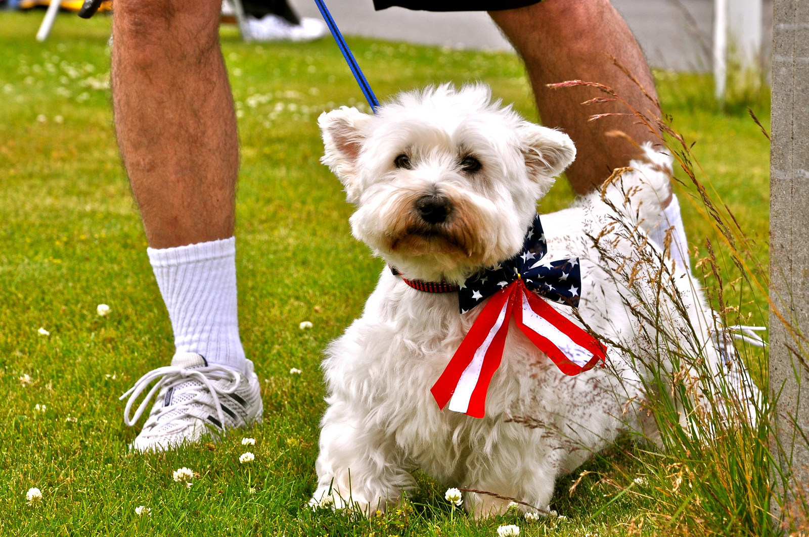 15Liz Jackson Hero to Hero